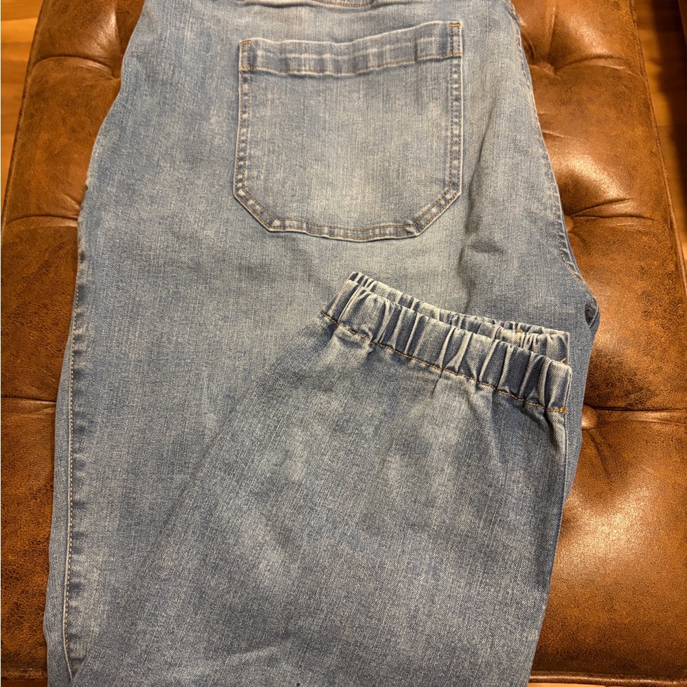 Lane Bryant Blue Denim Jeans